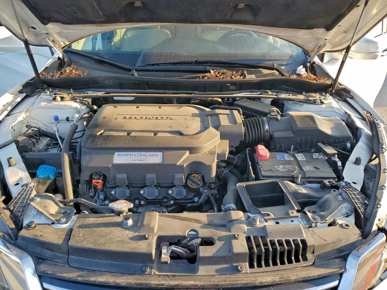 2014 HONDA ACCORD EXL photo 11