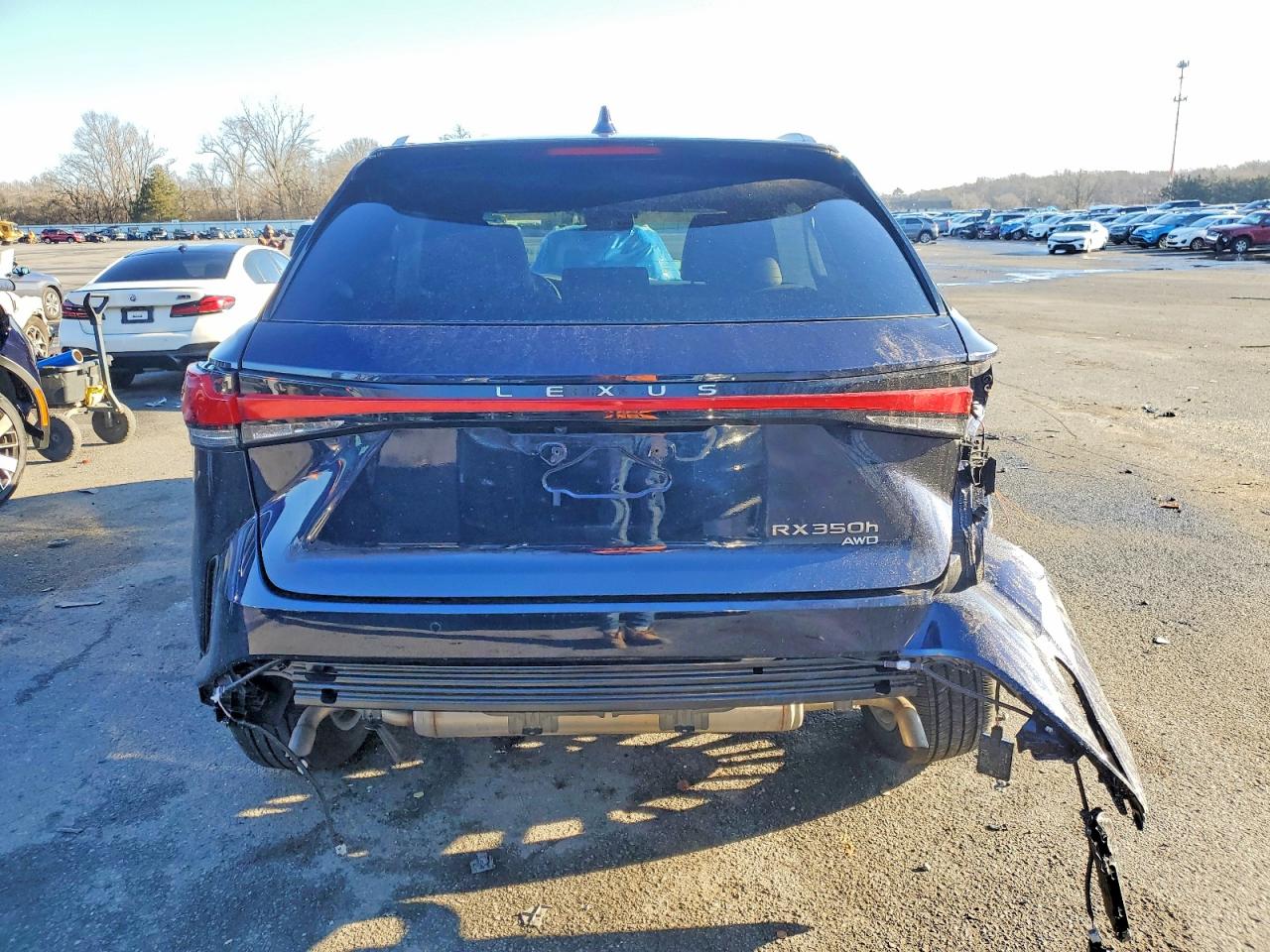 2025 LEXUS RX 350H BASE photo 6