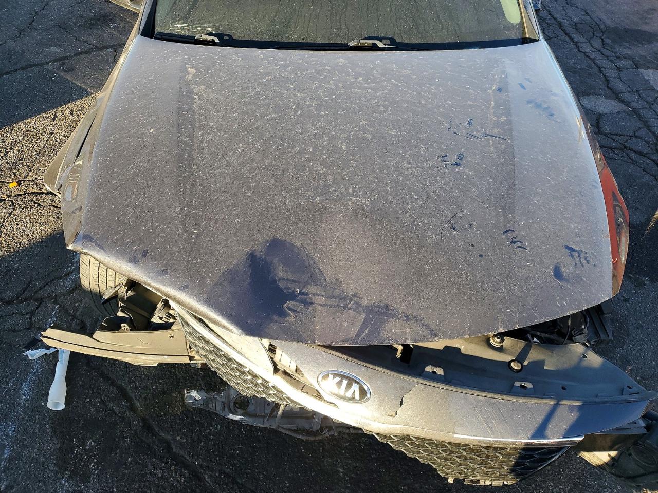 2017 KIA OPTIMA photo 11