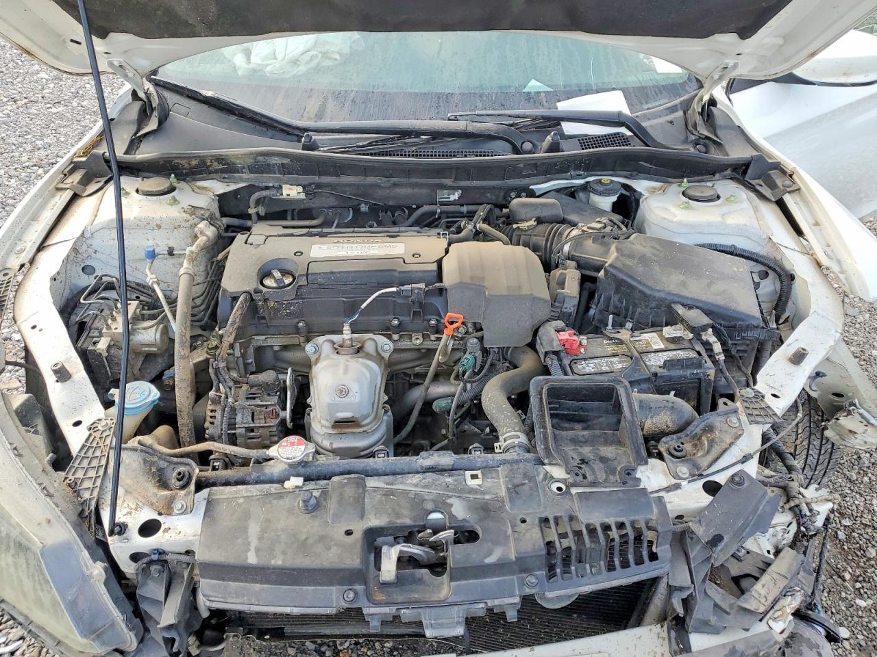 2013 HONDA ACCORD LX photo 11