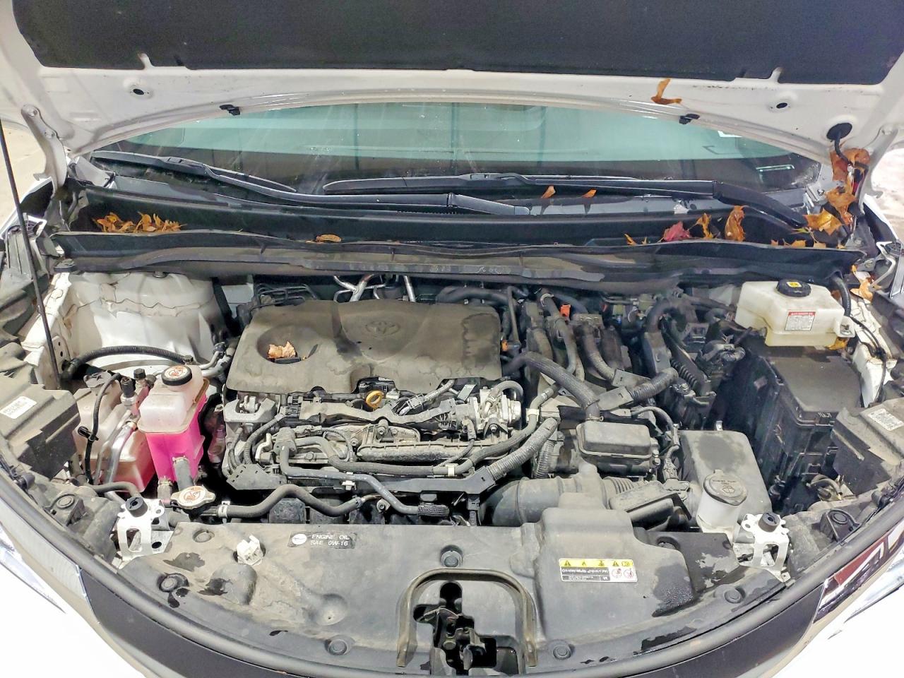 2022 TOYOTA SIENNA LE photo 12