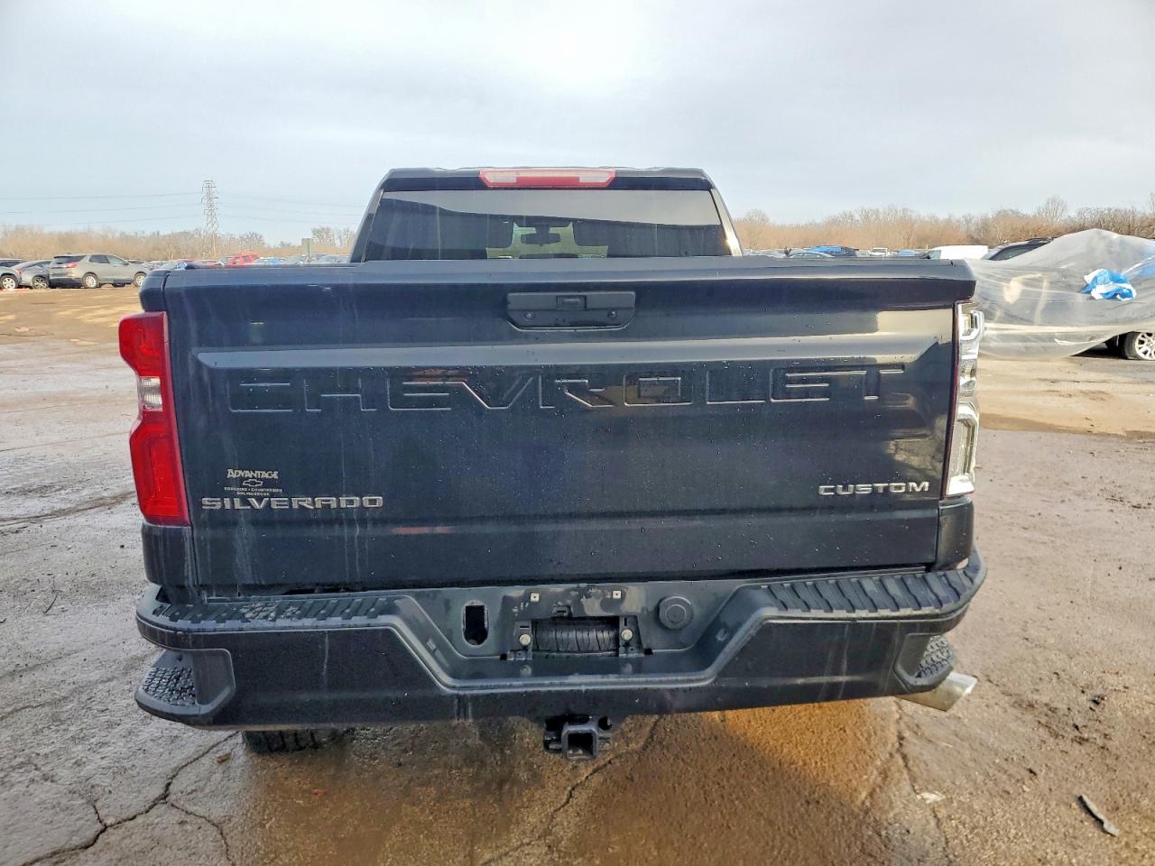 2019 CHEVROLET SILVERADO K1500 CUSTOM photo 6