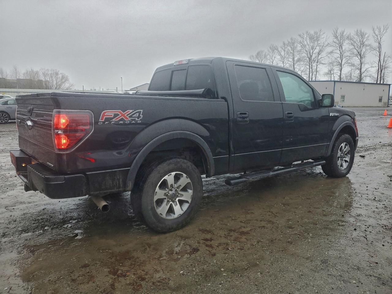 2013 FORD F150 SUPERCREW photo 3