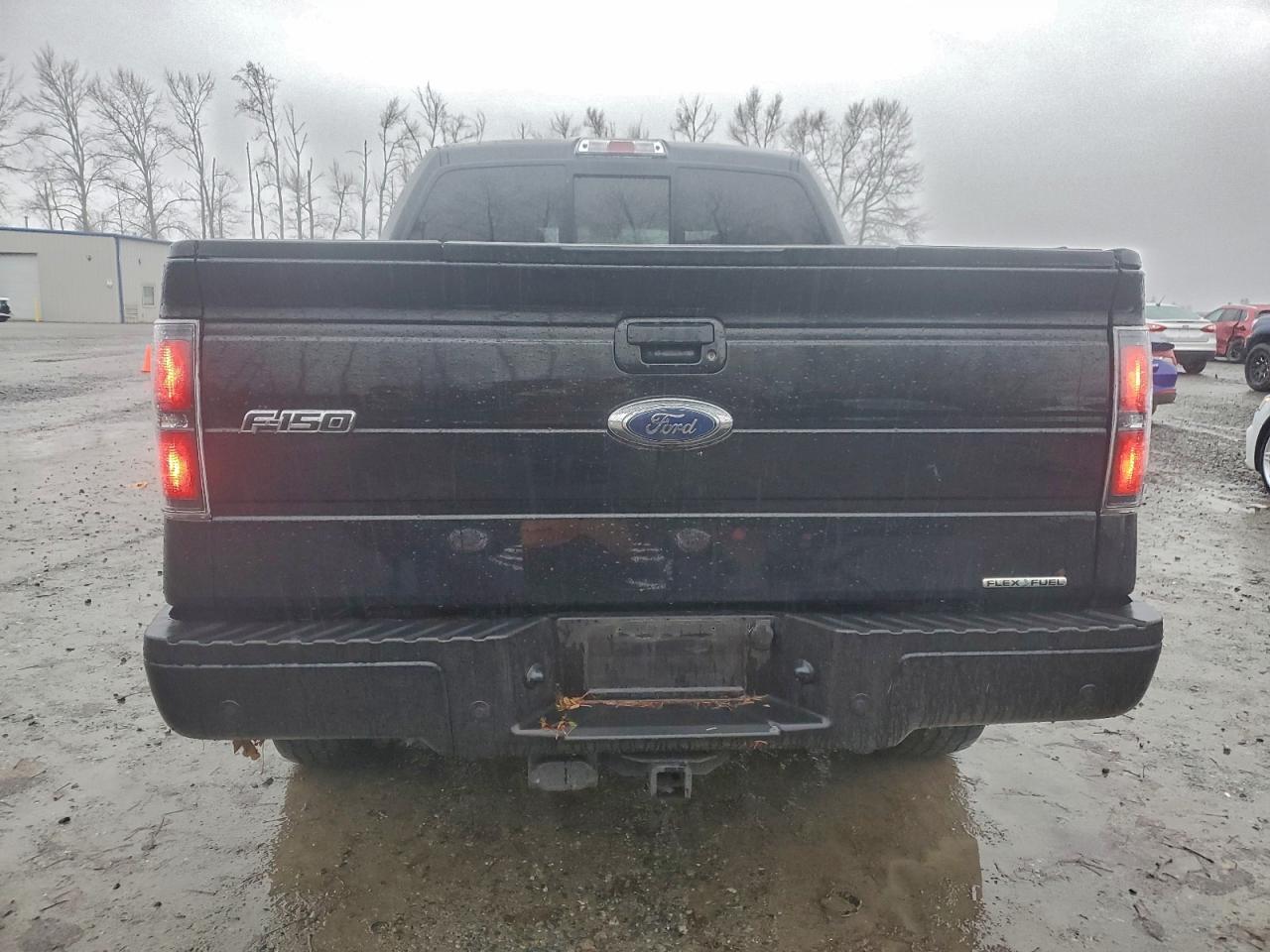 2013 FORD F150 SUPERCREW photo 6