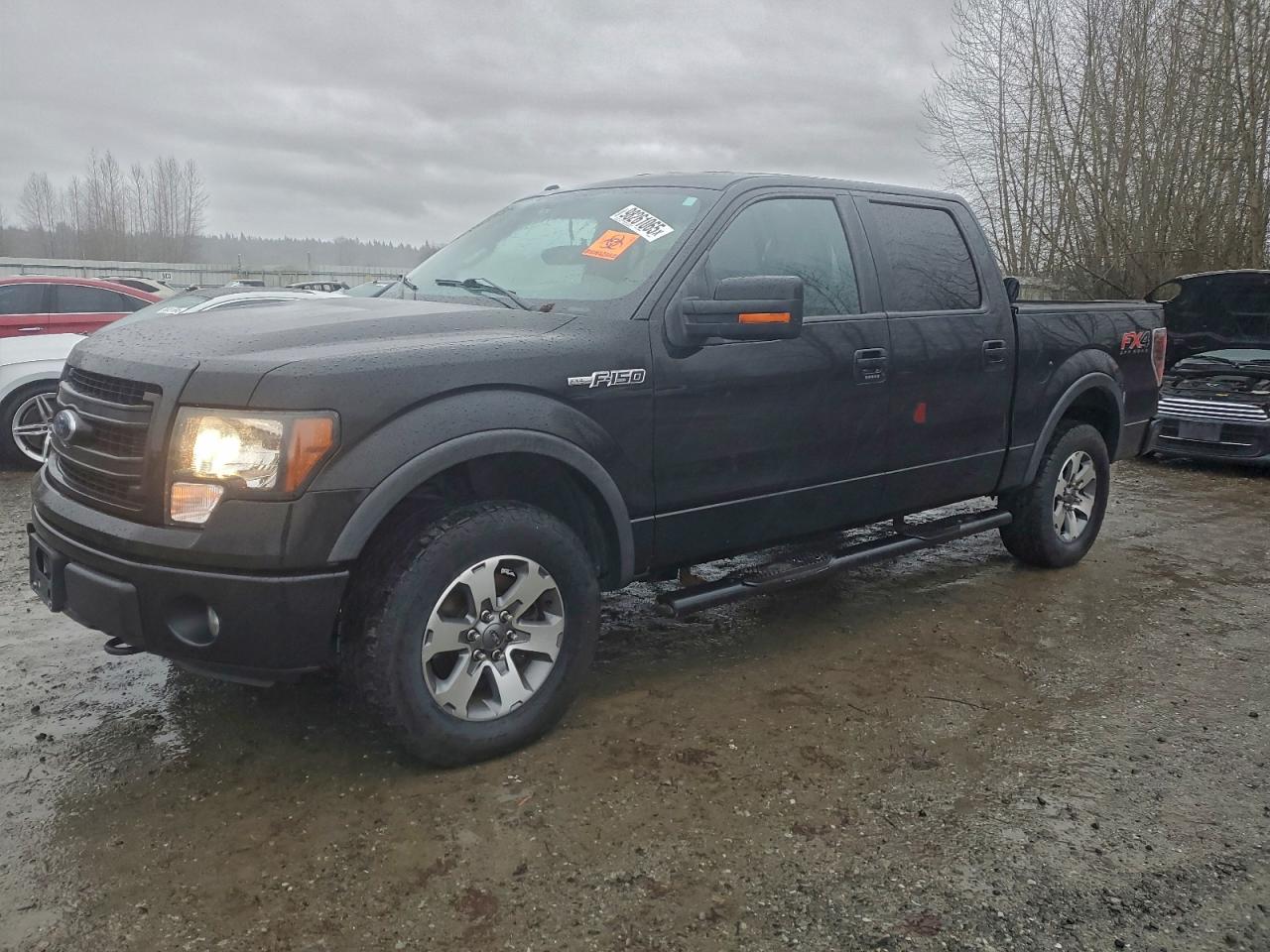 2013 FORD F150