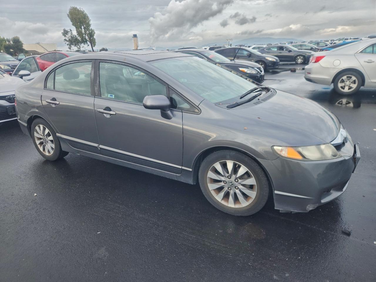 2009 HONDA CIVIC EXL photo 4