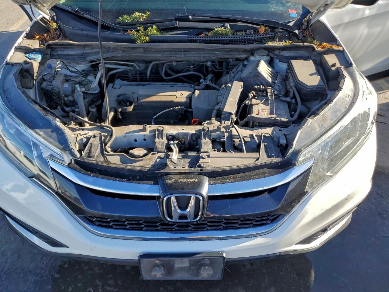 2015 HONDA CR-V LX photo 12