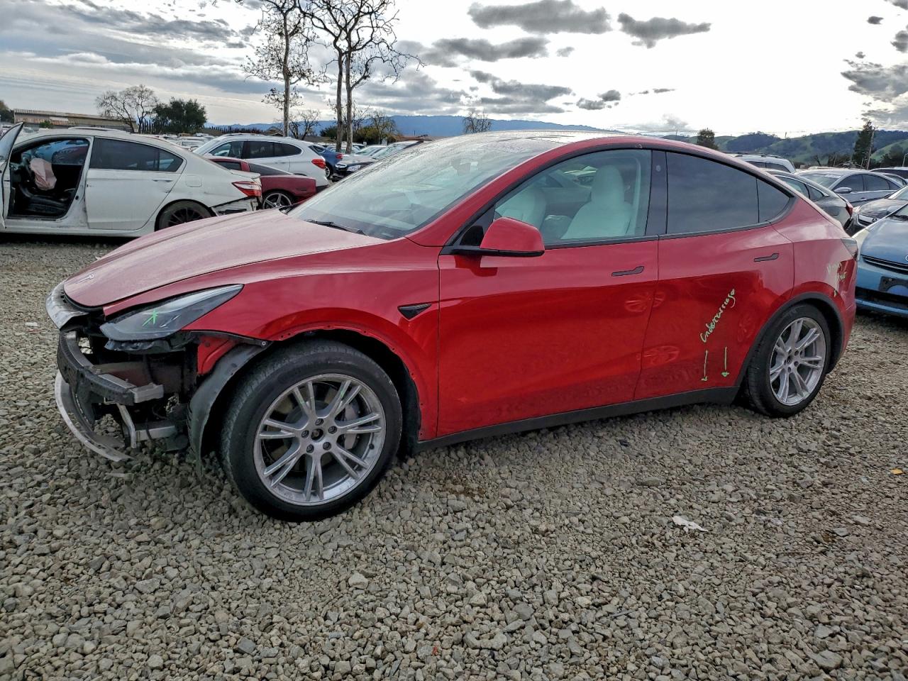 2021 TESLA MODEL Y