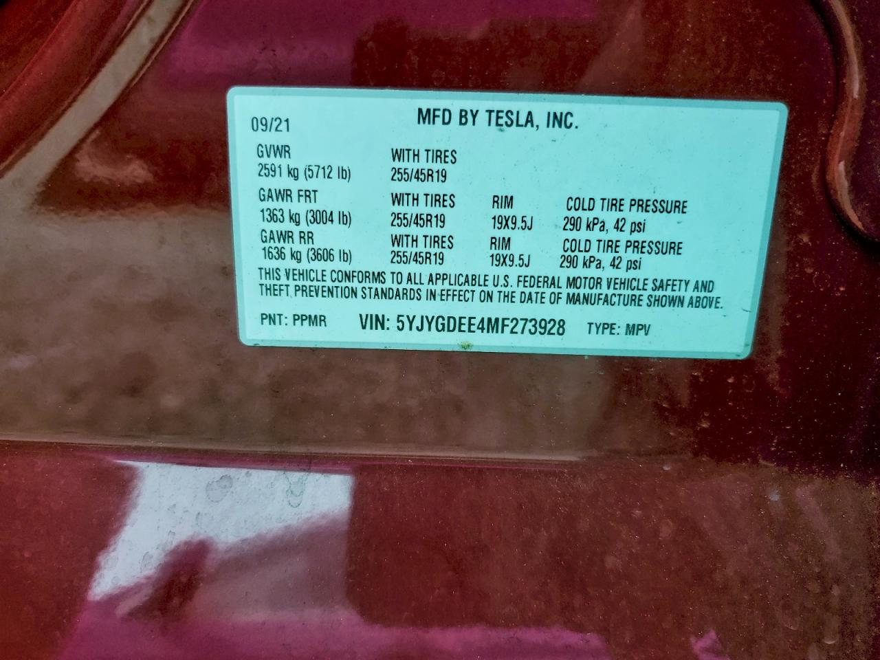 2021 TESLA MODEL Y photo 14