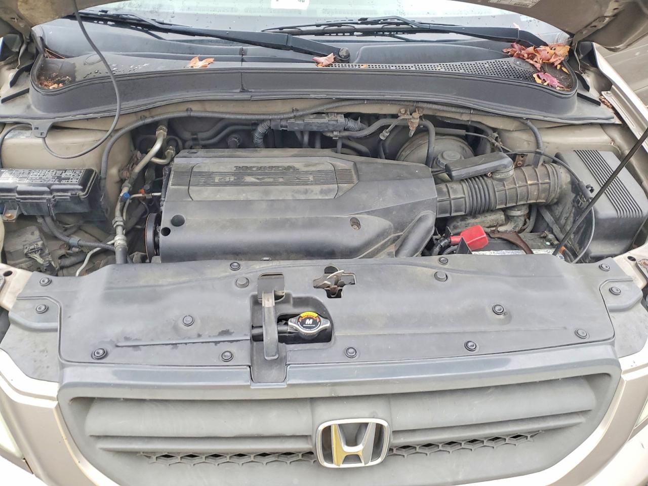 2004 HONDA PILOT EXL photo 12
