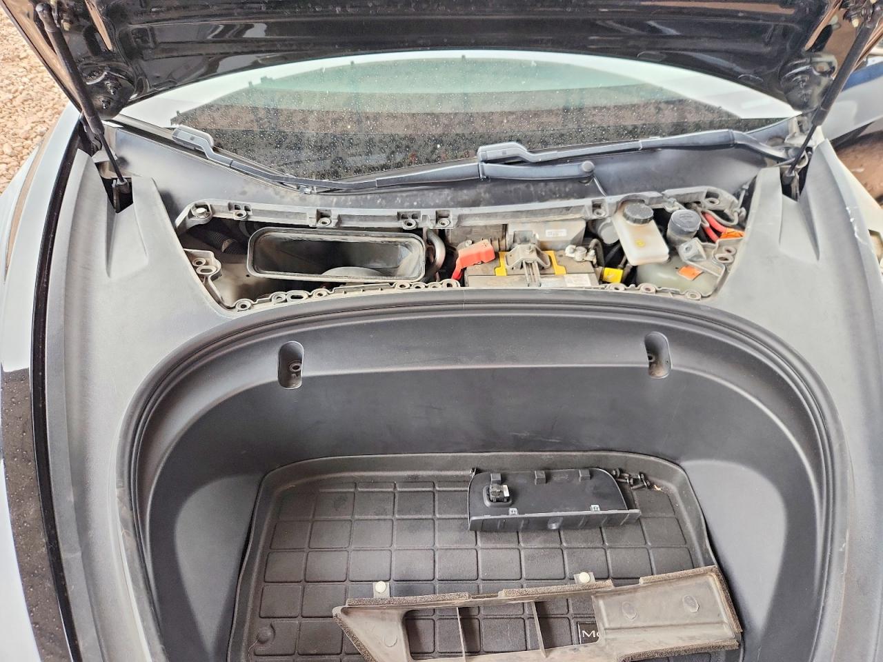 2020 TESLA MODEL 3 photo 11