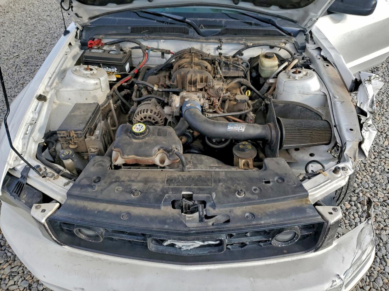 2008 FORD MUSTANG photo 11