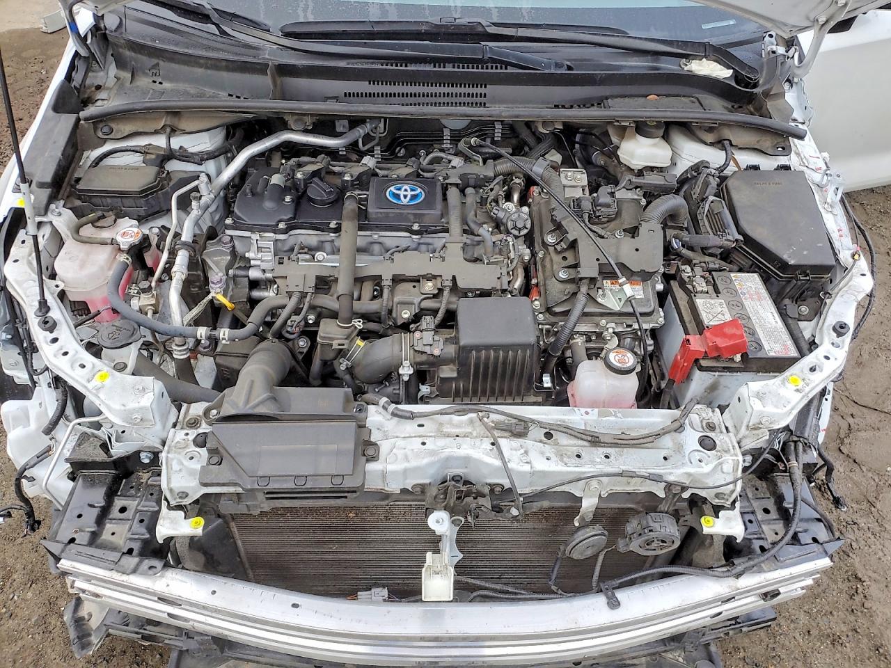 2024 TOYOTA COROLLA LE photo 11
