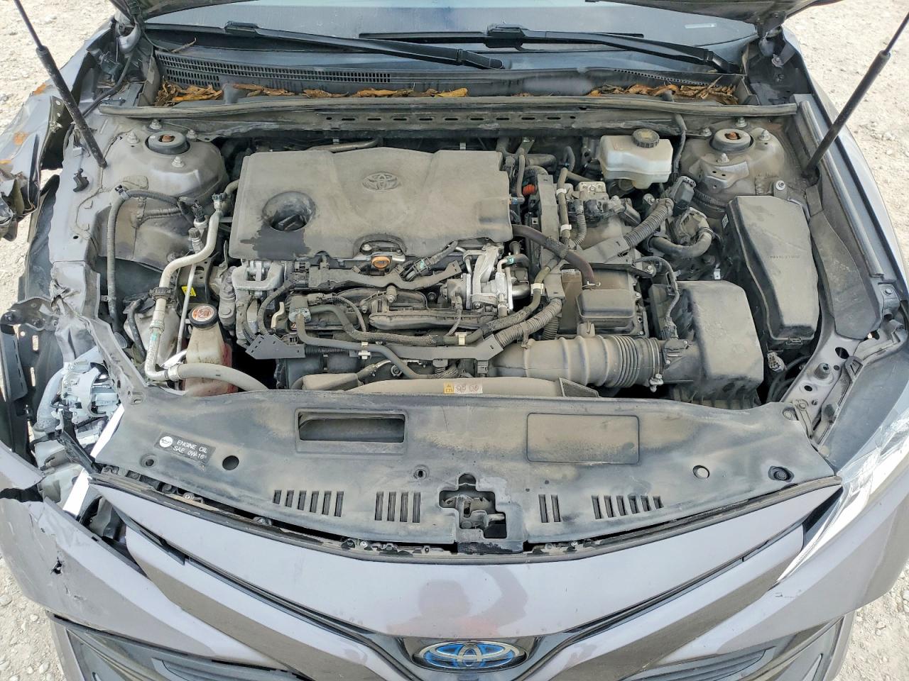 2019 TOYOTA CAMRY LE photo 11