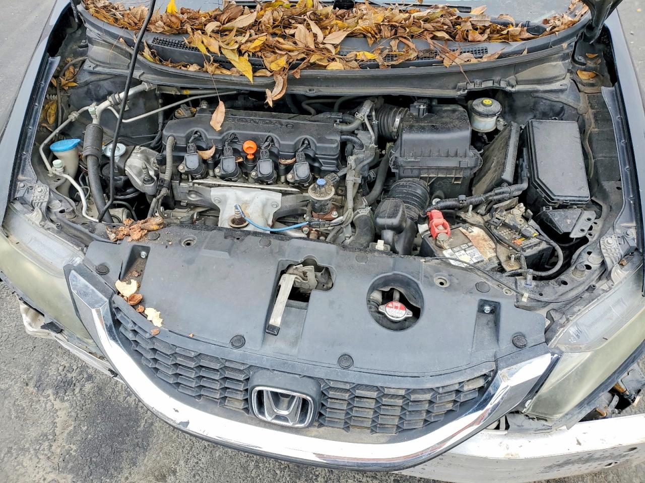 2013 HONDA CIVIC LX photo 11