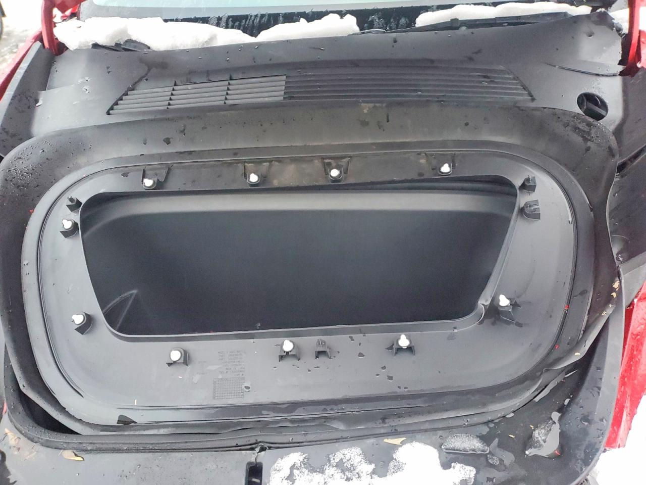 2021 TESLA MODEL Y photo 12