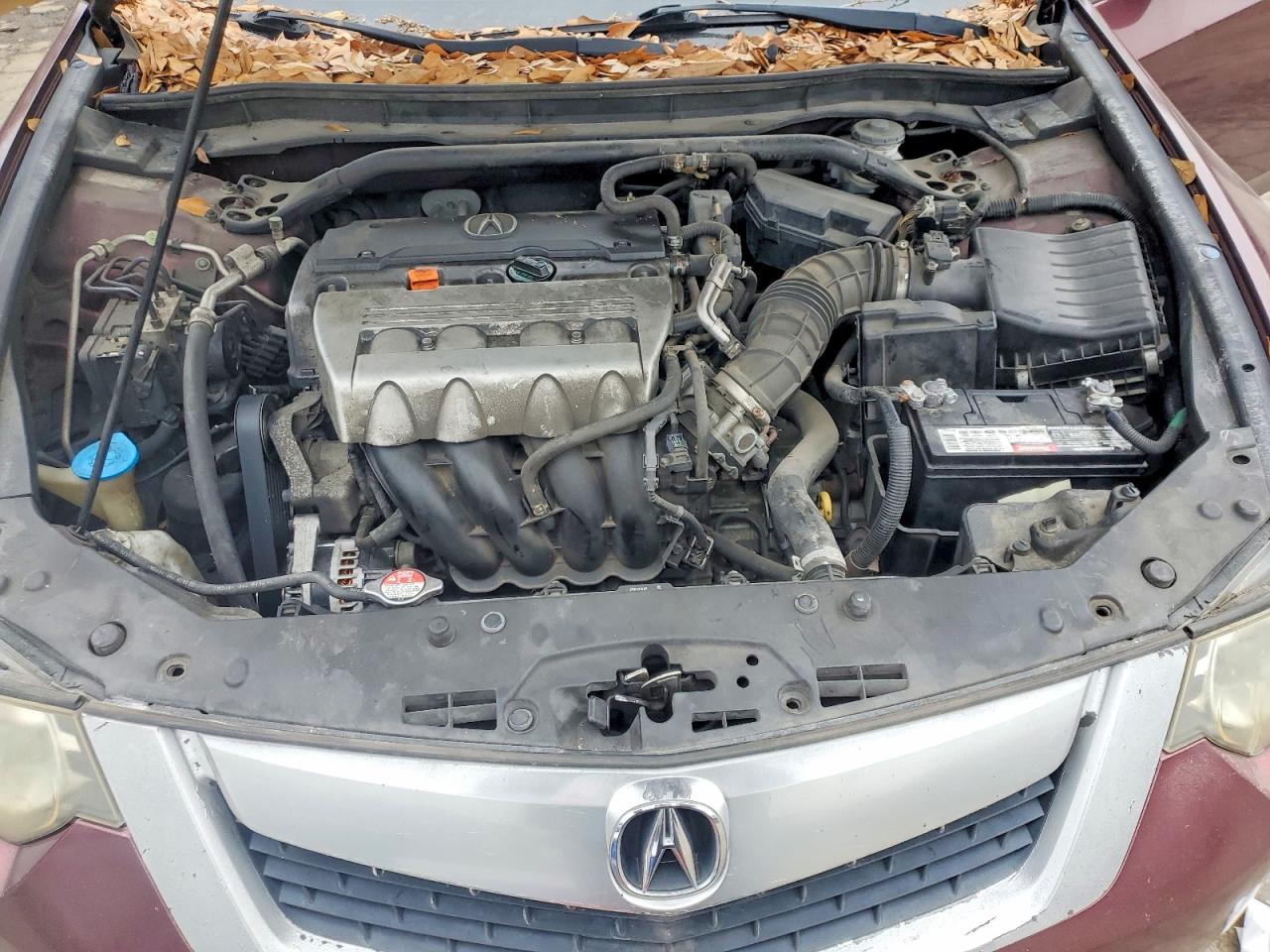 2009 ACURA TSX photo 11