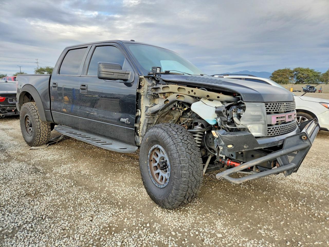 2013 FORD F150 SVT RAPTOR photo 4
