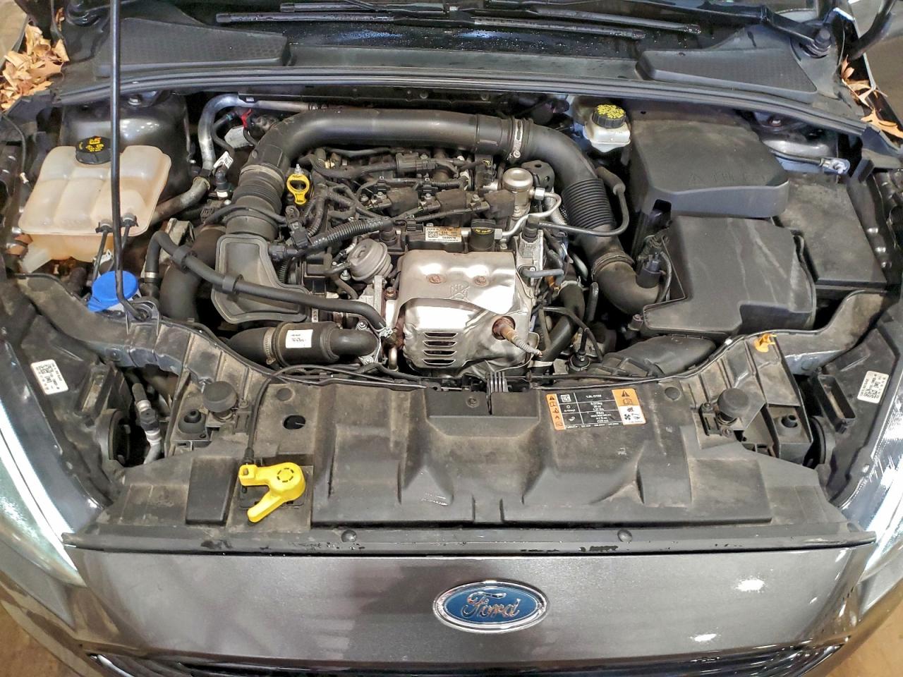 2017 FORD FOCUS SE photo 11