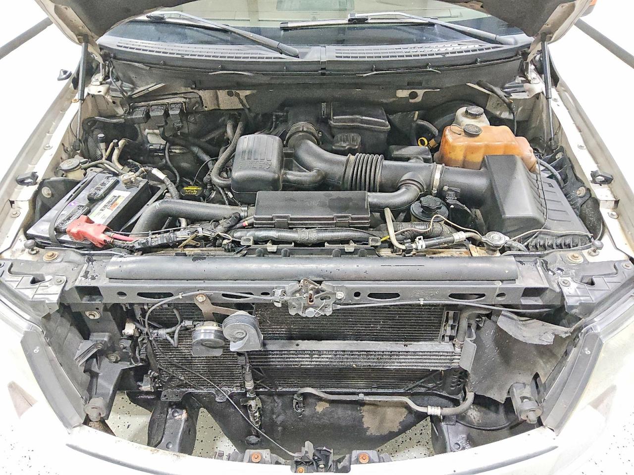 2010 FORD F150 SUPERCREW photo 21