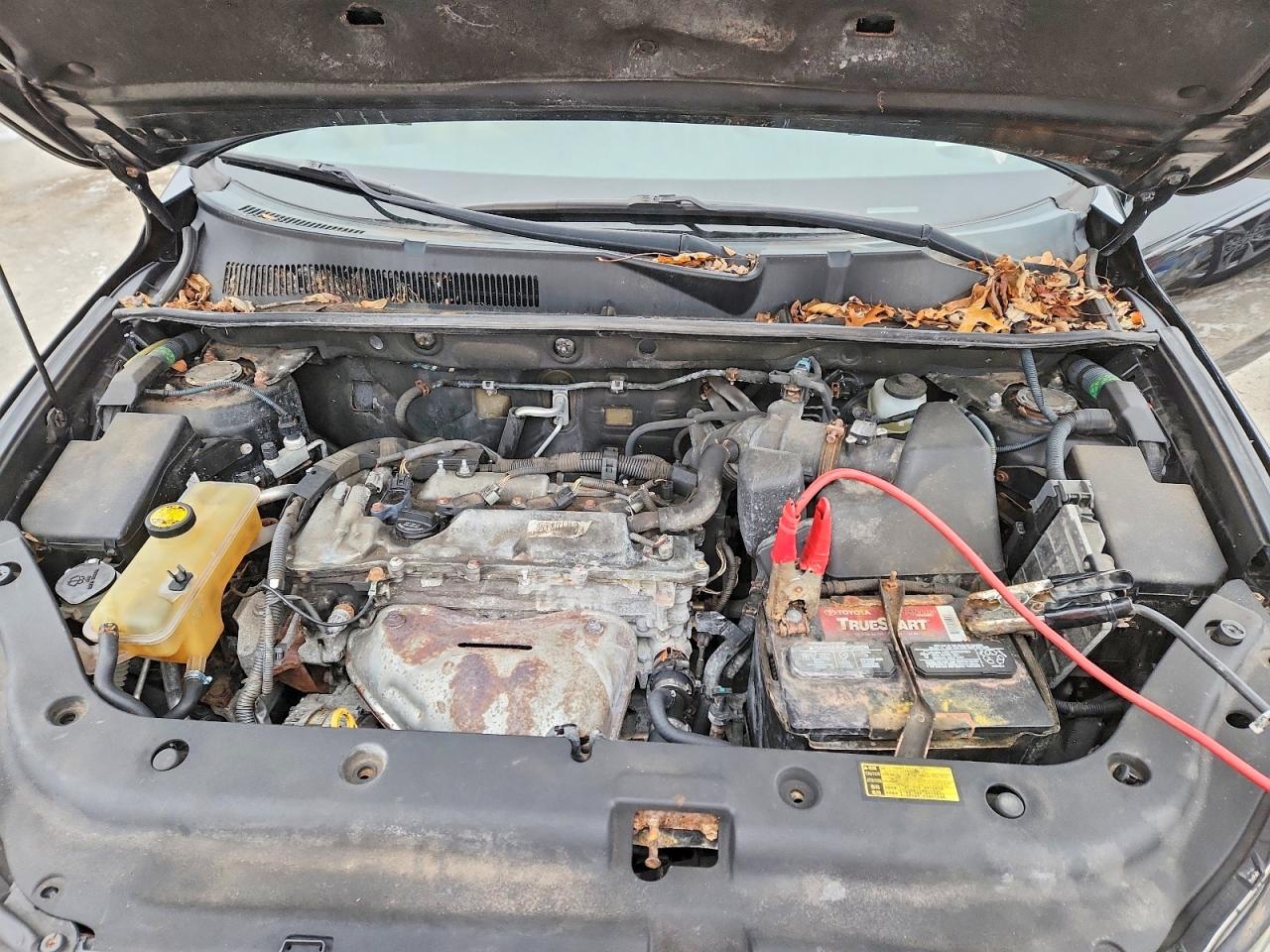 2010 TOYOTA RAV4 photo 12