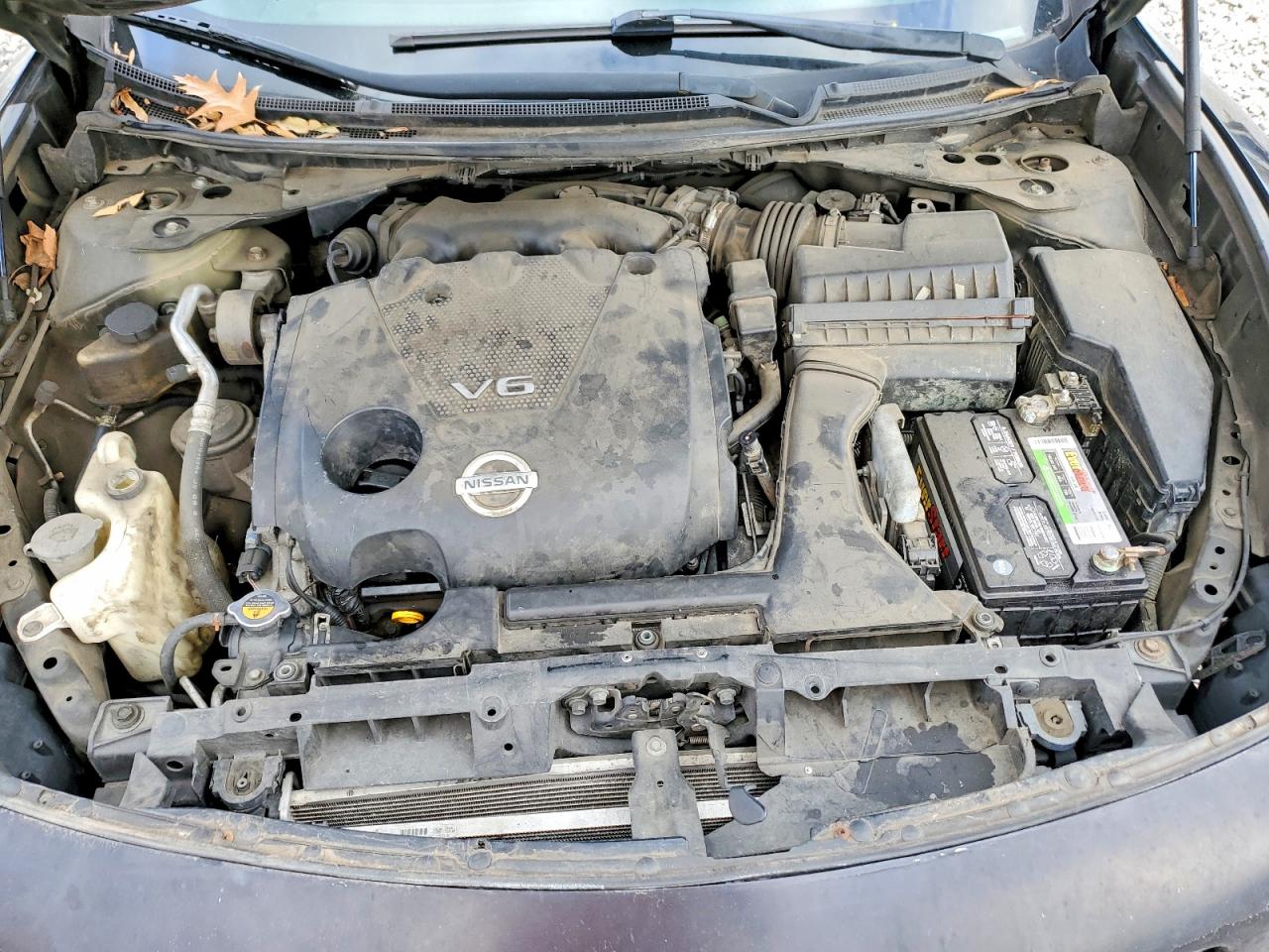 2010 NISSAN MAXIMA S photo 11