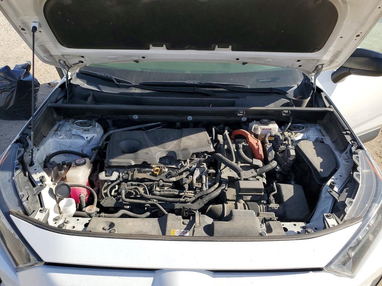 2021 TOYOTA RAV4 LE photo 12