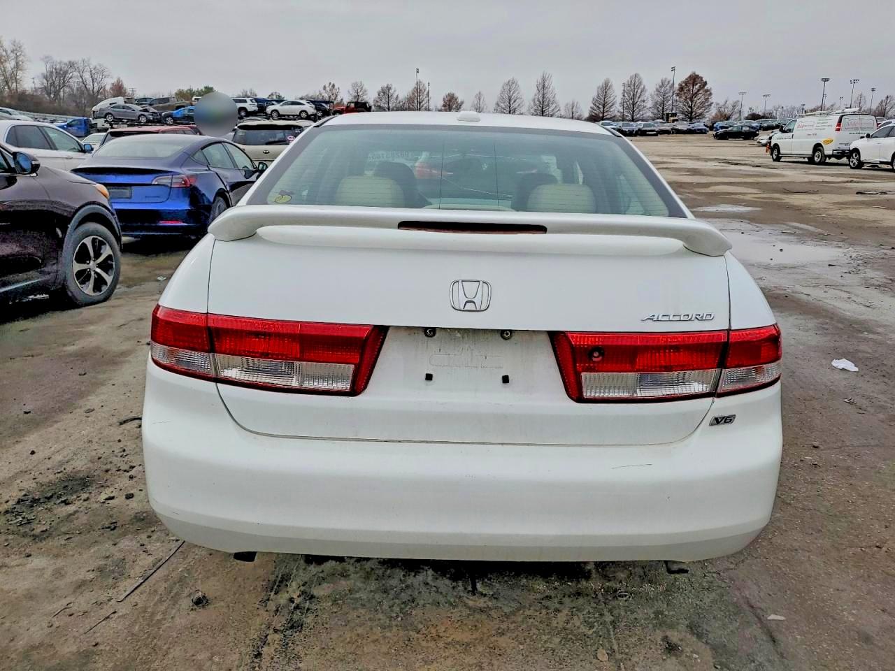 2004 HONDA ACCORD EX photo 6