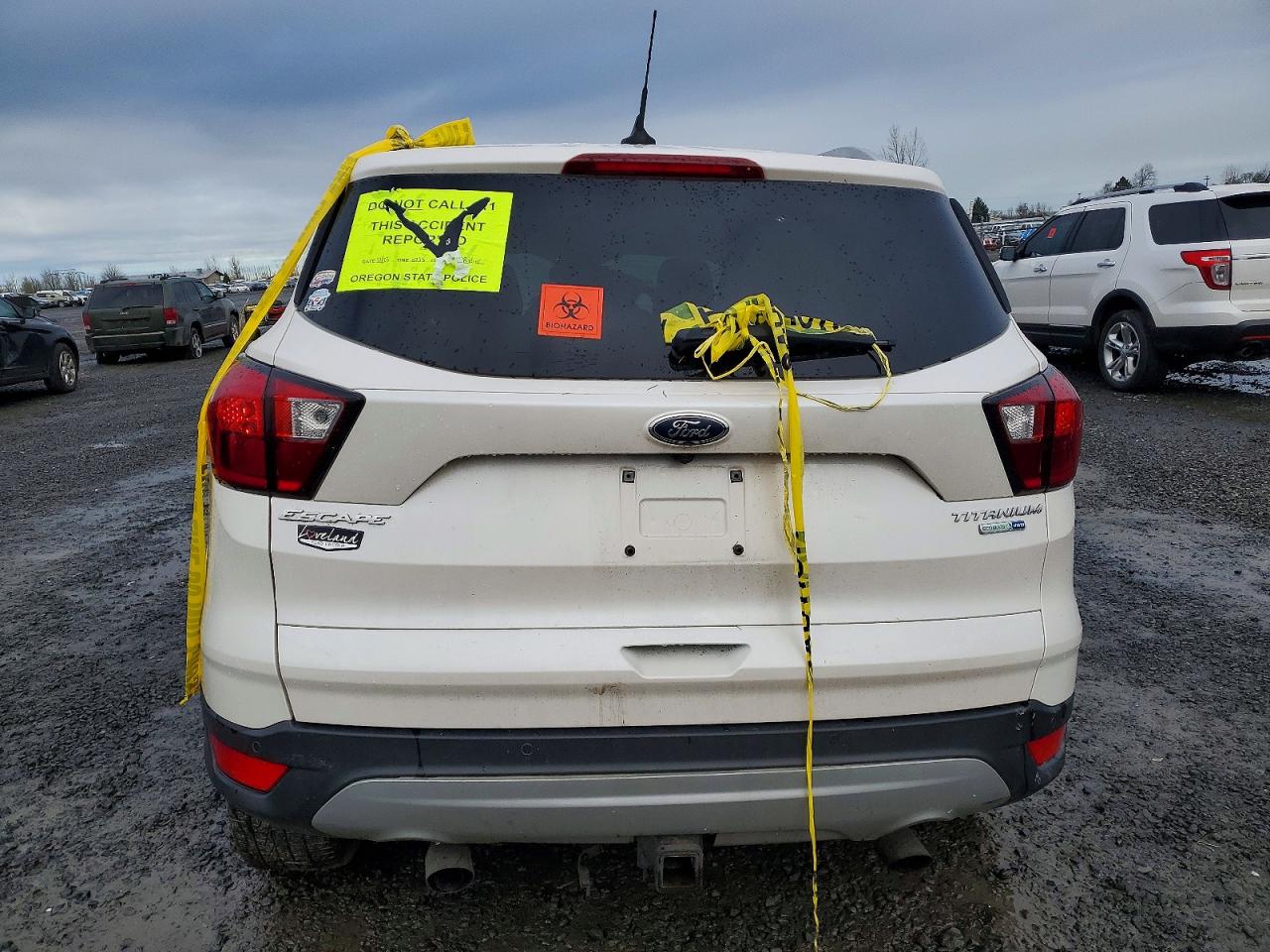 2019 FORD ESCAPE TITANIUM photo 6