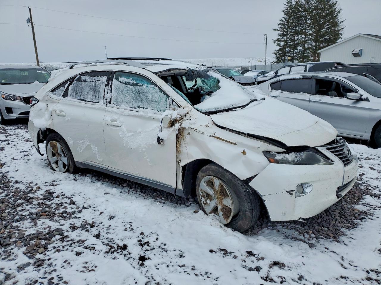 2013 LEXUS RX 350 BASE photo 4
