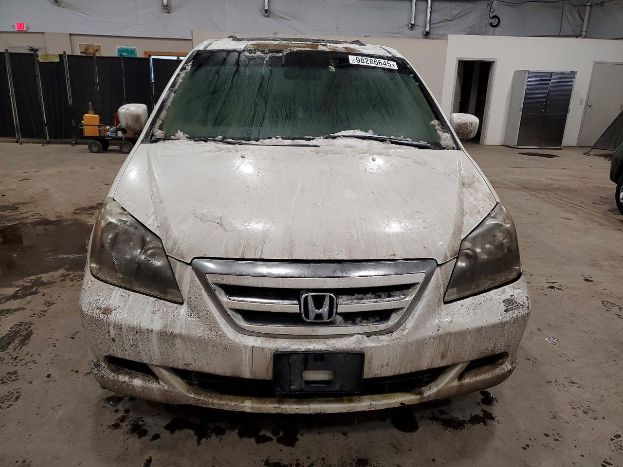 2006 HONDA ODYSSEY EXL photo 5