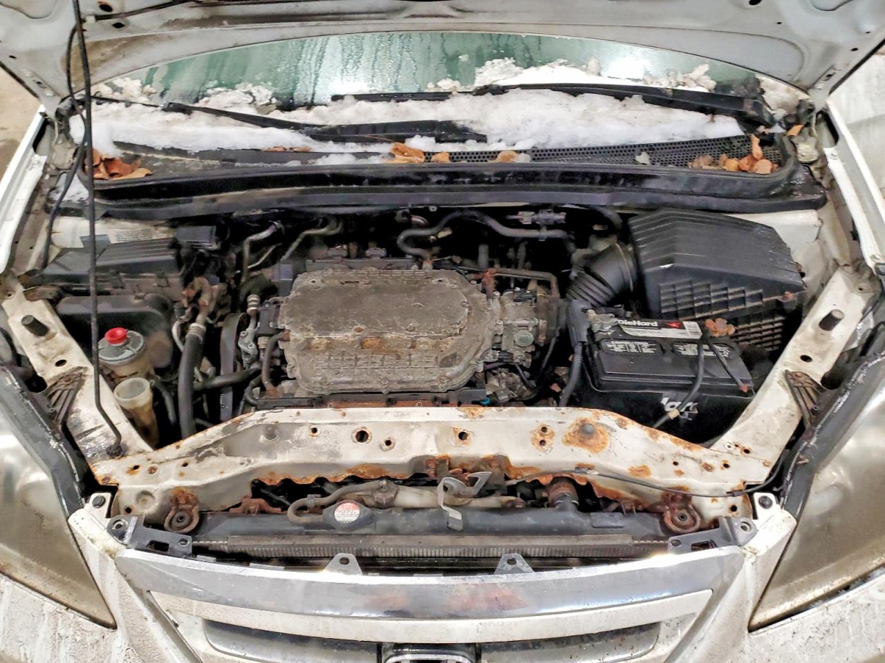 2006 HONDA ODYSSEY EXL photo 12