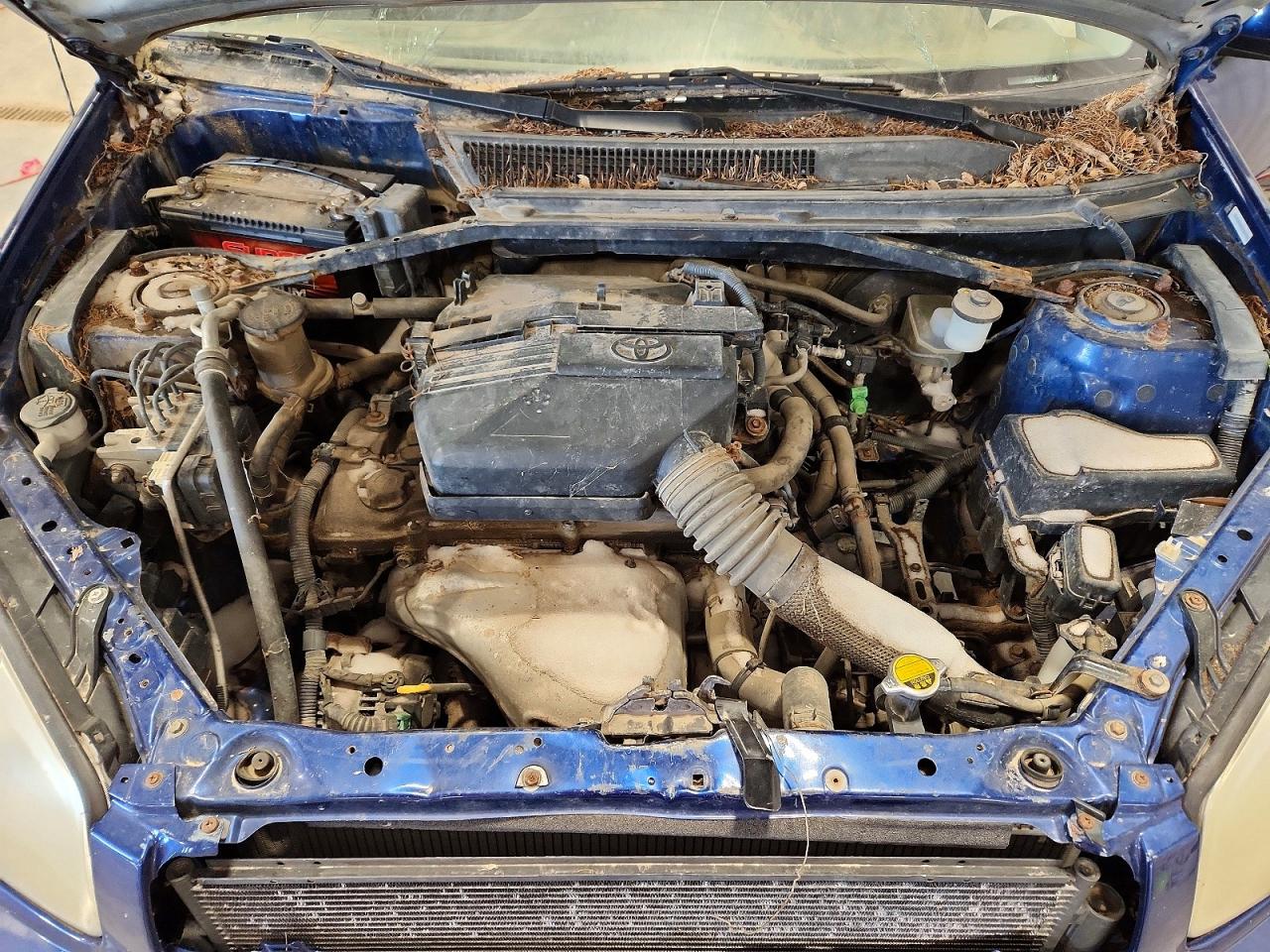 2004 TOYOTA RAV4 photo 12