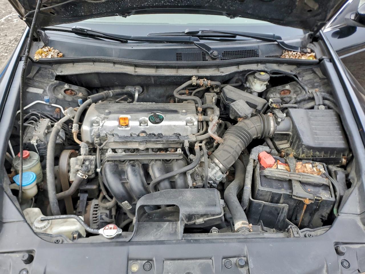 2010 HONDA ACCORD LX photo 11