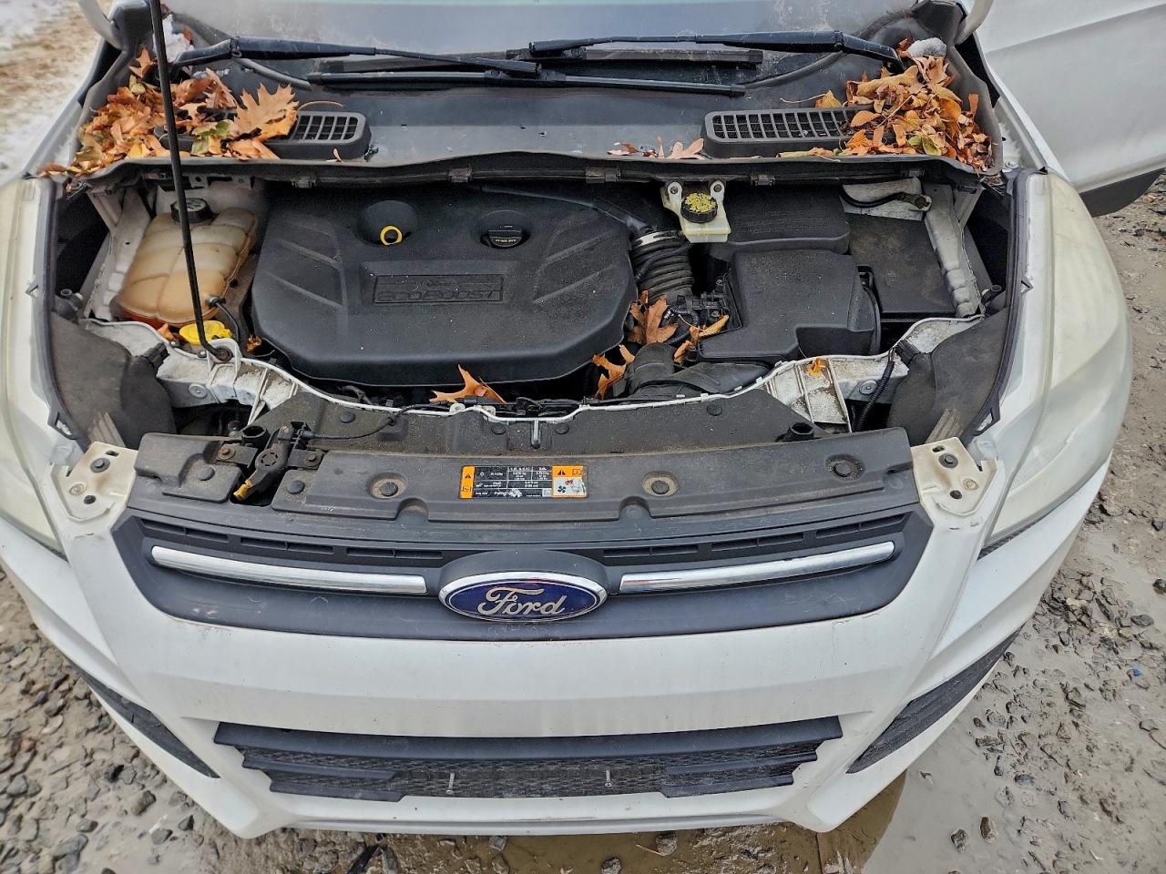 2013 FORD ESCAPE SE photo 12