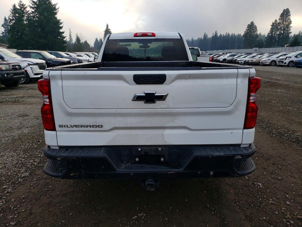 2021 CHEVROLET SILVERADO K1500 photo 6