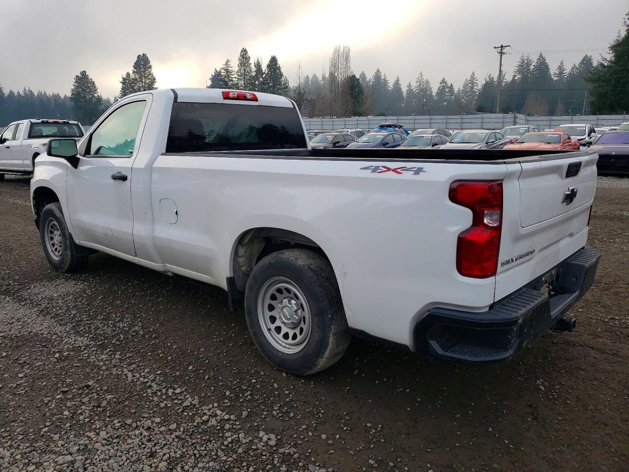 2021 CHEVROLET SILVERADO K1500 photo 2