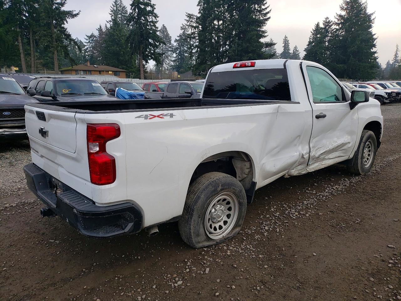 2021 CHEVROLET SILVERADO K1500 photo 3