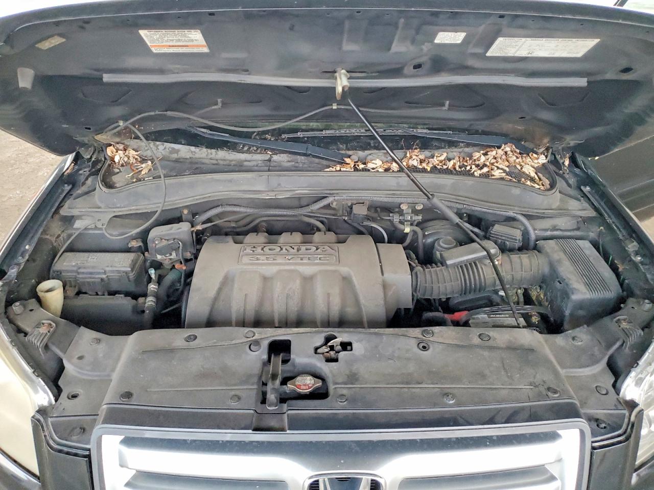 2008 HONDA PILOT EXL photo 12