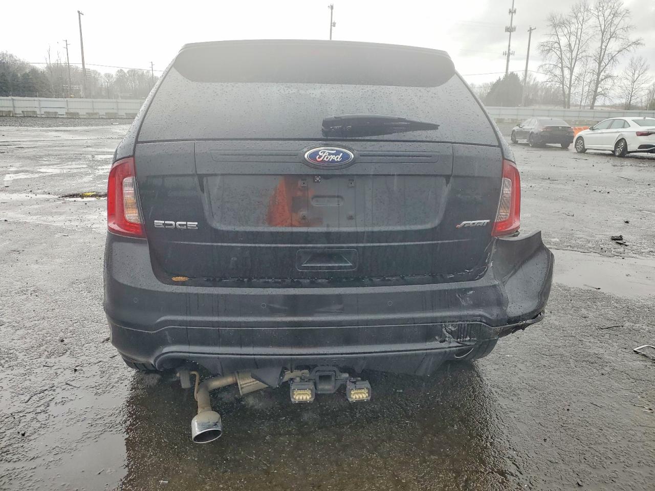 2013 FORD EDGE SPORT photo 11