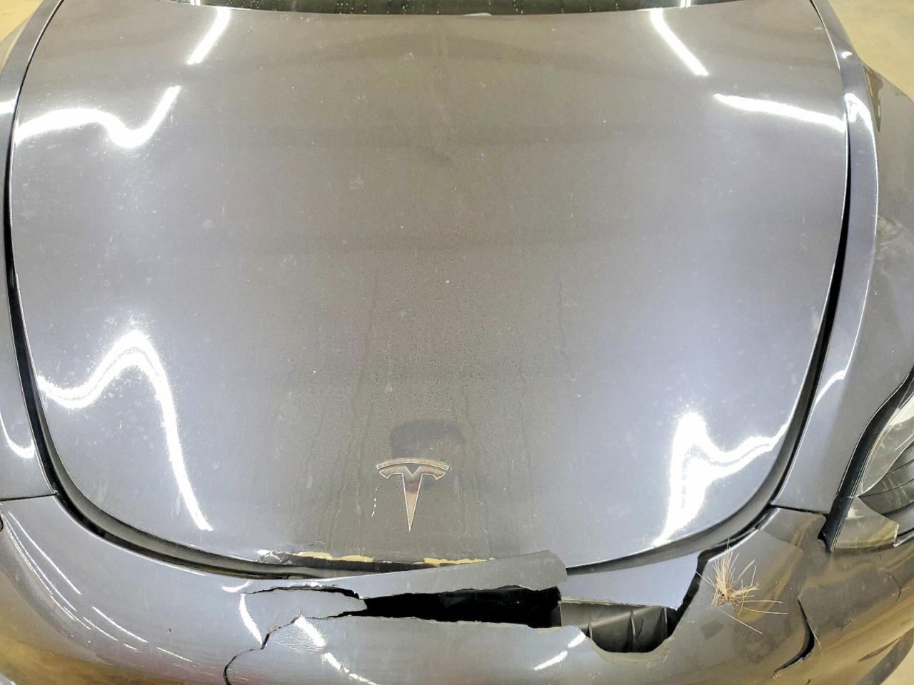 2019 TESLA MODEL 3 photo 11