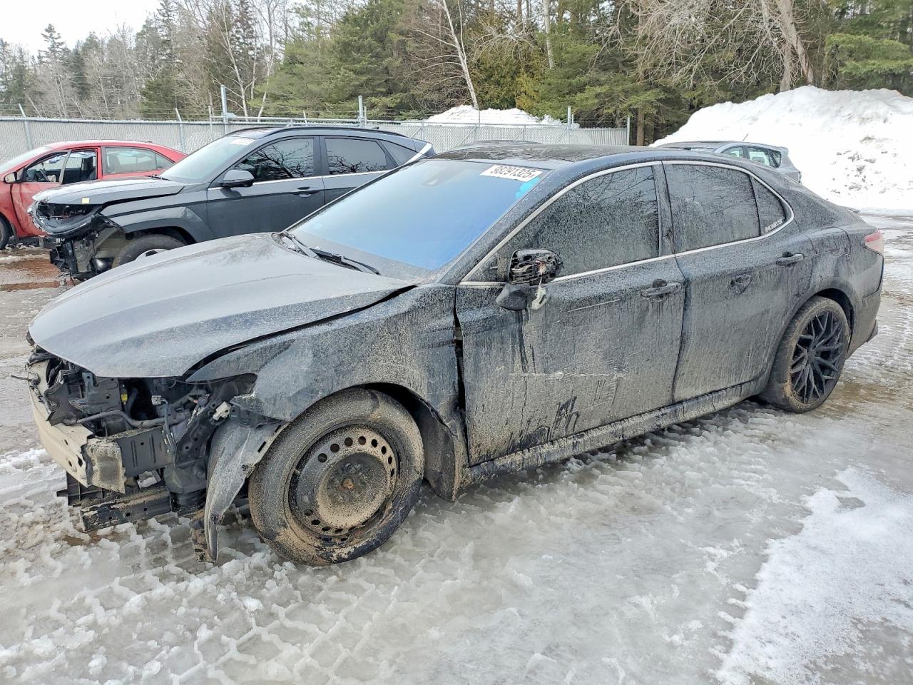 2019 TOYOTA CAMRY