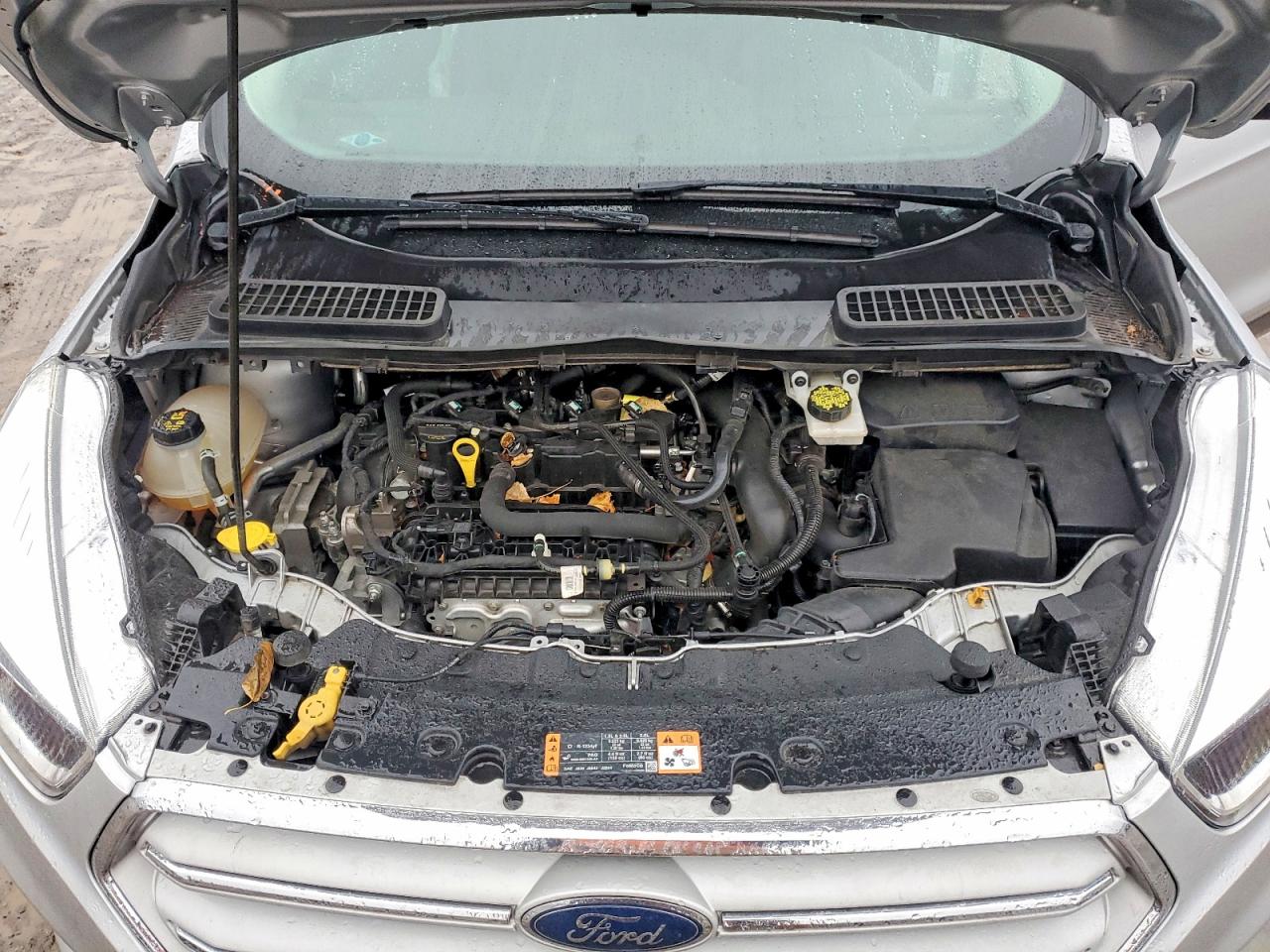 2019 FORD ESCAPE SE photo 12