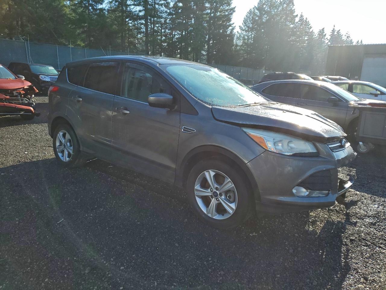 2014 FORD ESCAPE SE photo 4
