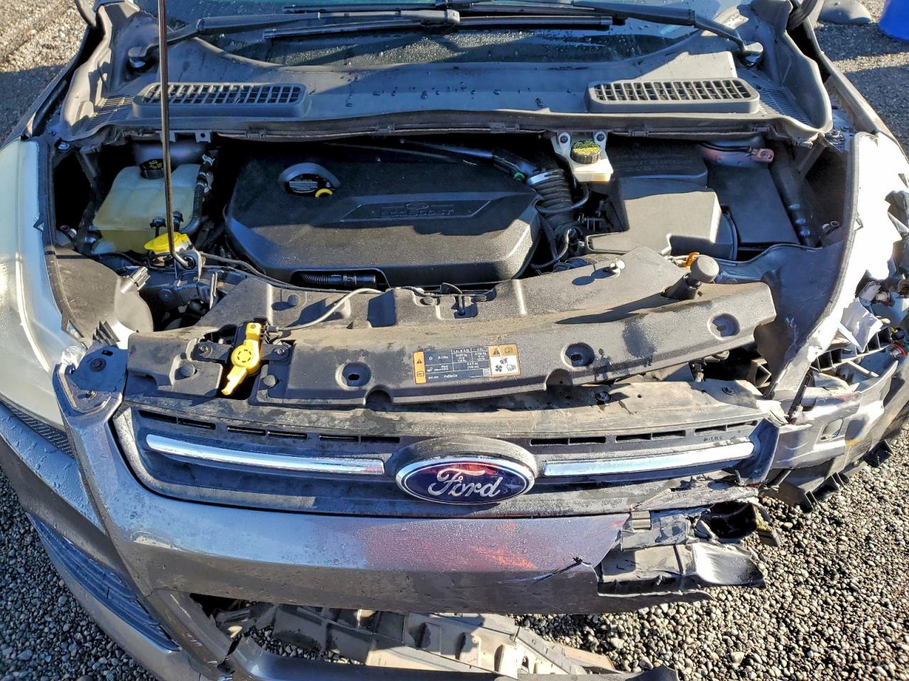 2014 FORD ESCAPE SE photo 12