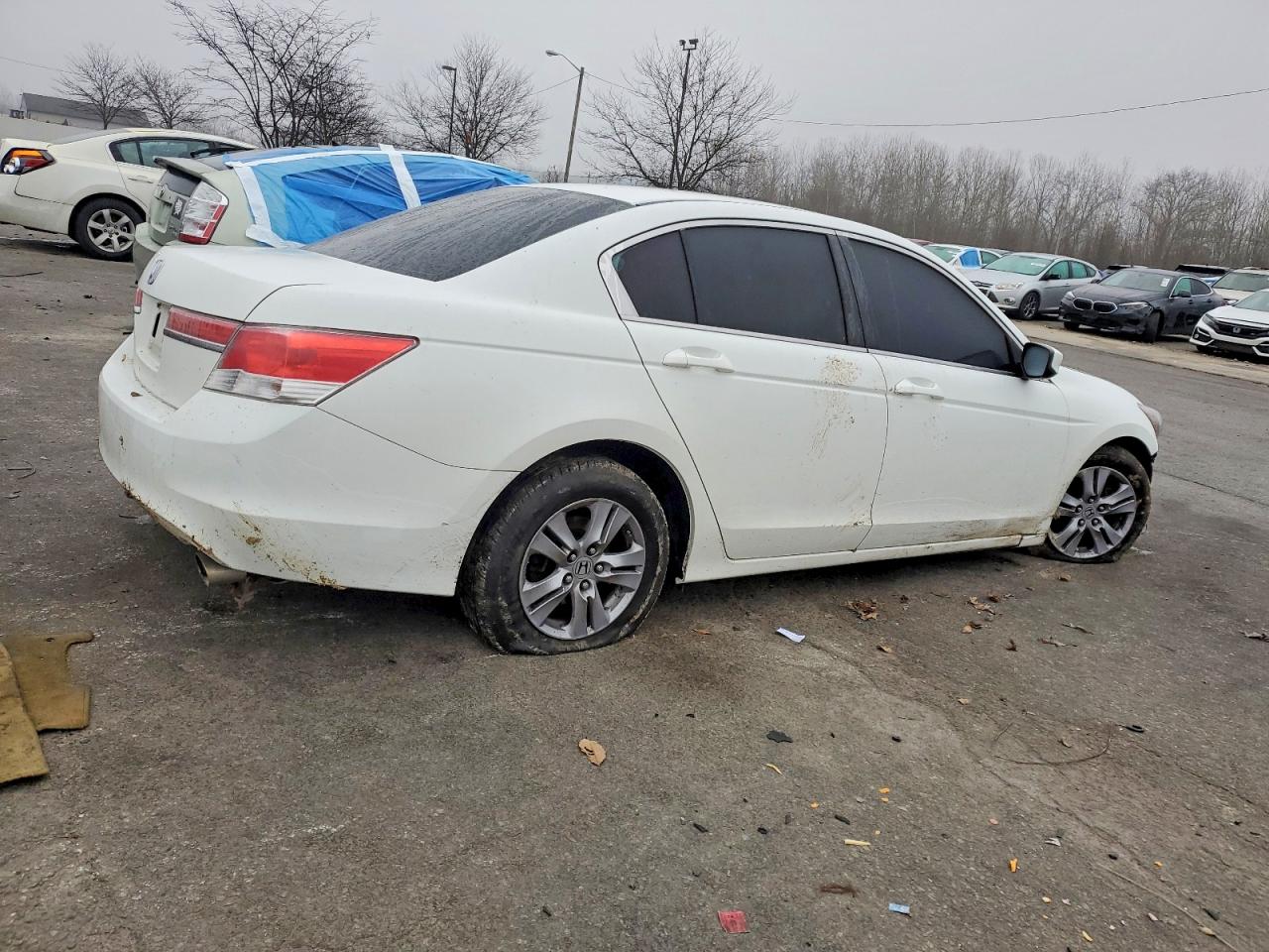 2011 HONDA ACCORD LXP photo 5