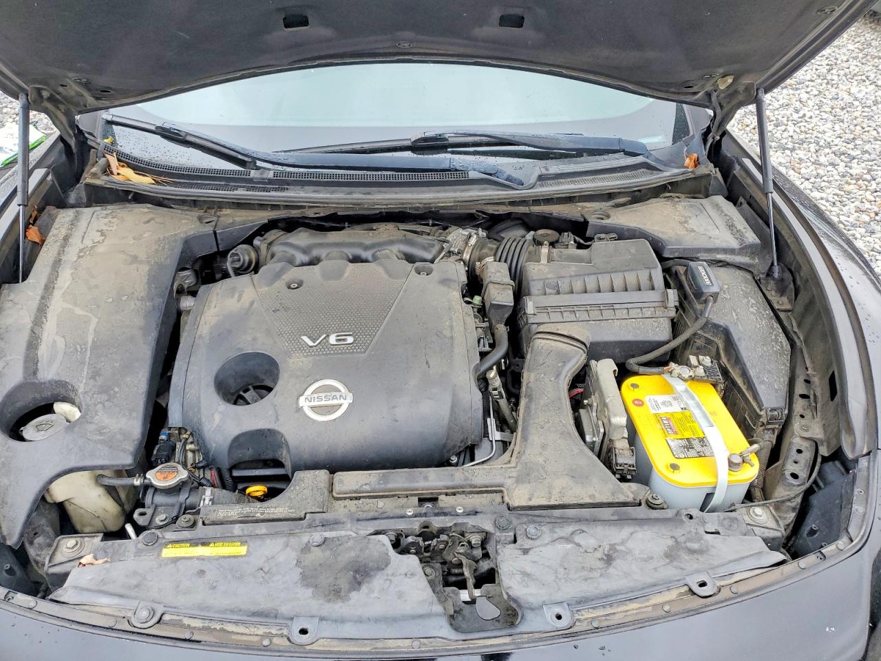 2013 NISSAN MAXIMA S photo 11