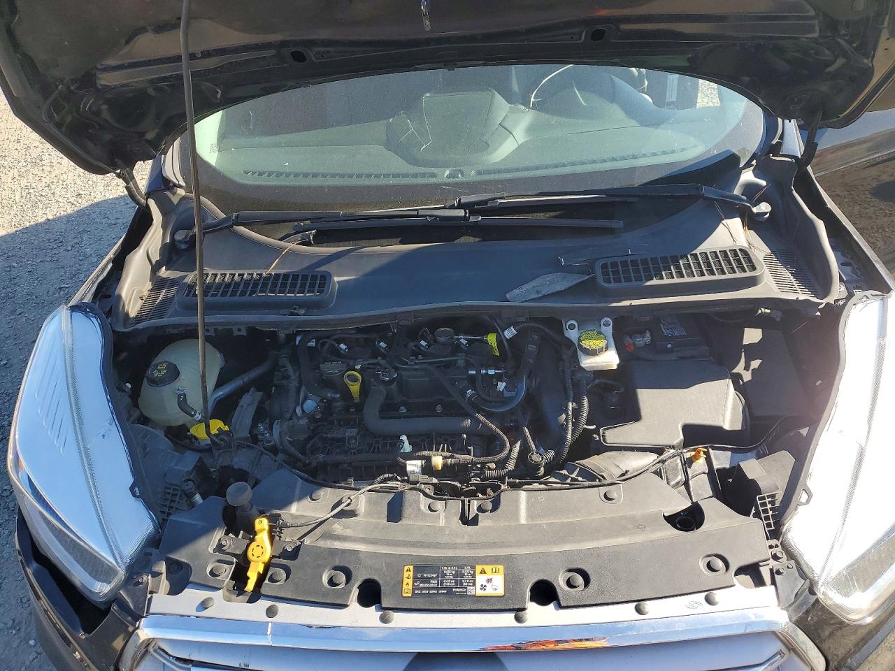 2019 FORD ESCAPE SE photo 12