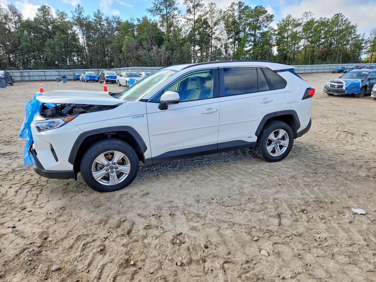 2019 TOYOTA RAV4