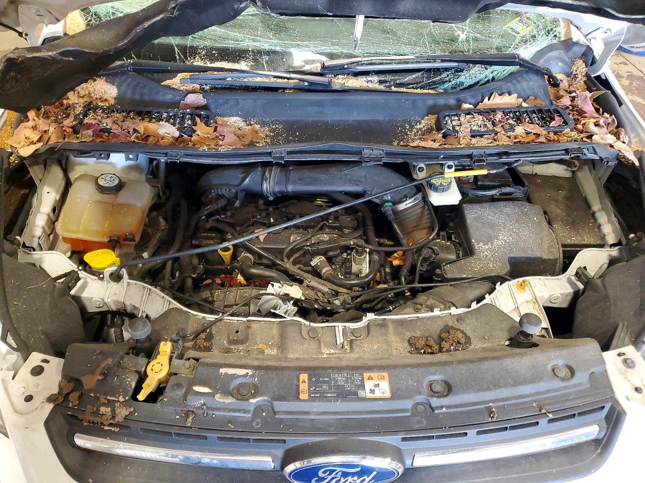 2015 FORD ESCAPE SE photo 12